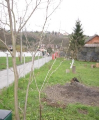 DUBRAVICA - Merlinov put, GRAĐ. ZEMLJIŠTE OD 496m2